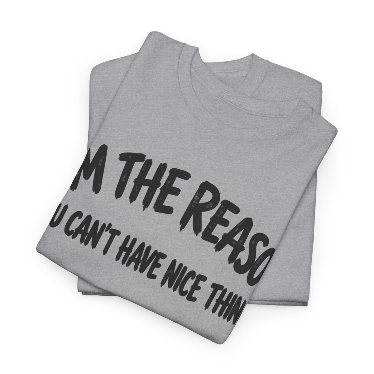 257-R1 I’m the Reason You Can’t Have Nice Things — Gildan 5000 T-Shirt
