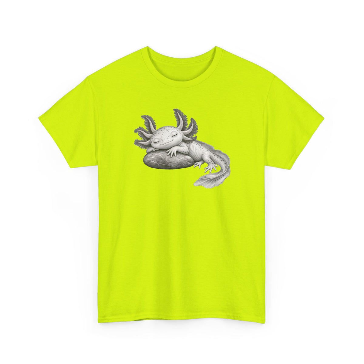 Dreaming Gill on a Stone T-Shirt