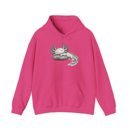 Dreaming Gill on a Stone Pullover Hoodie