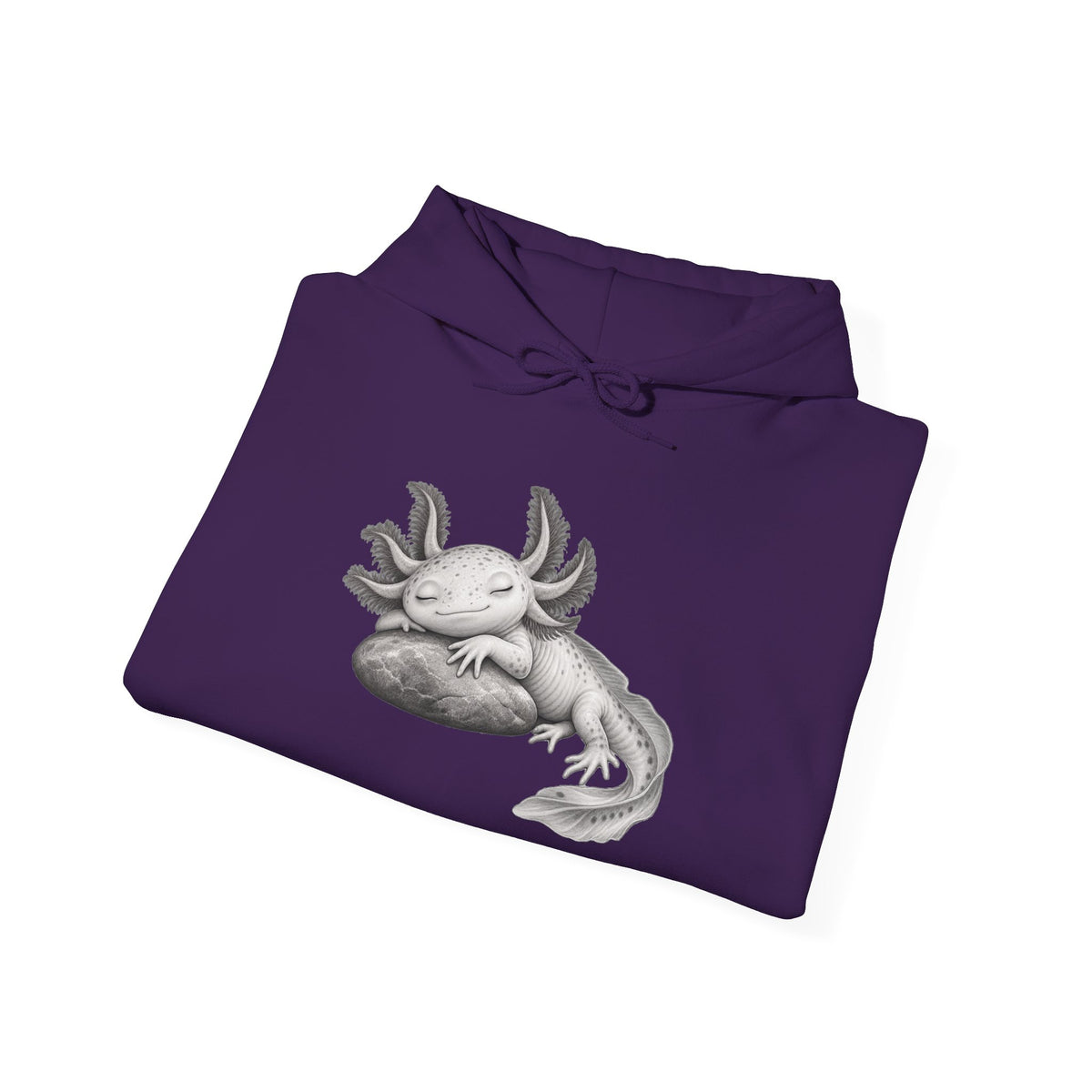 Dreaming Gill on a Stone Pullover Hoodie