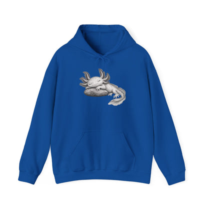 Dreaming Gill on a Stone Pullover Hoodie