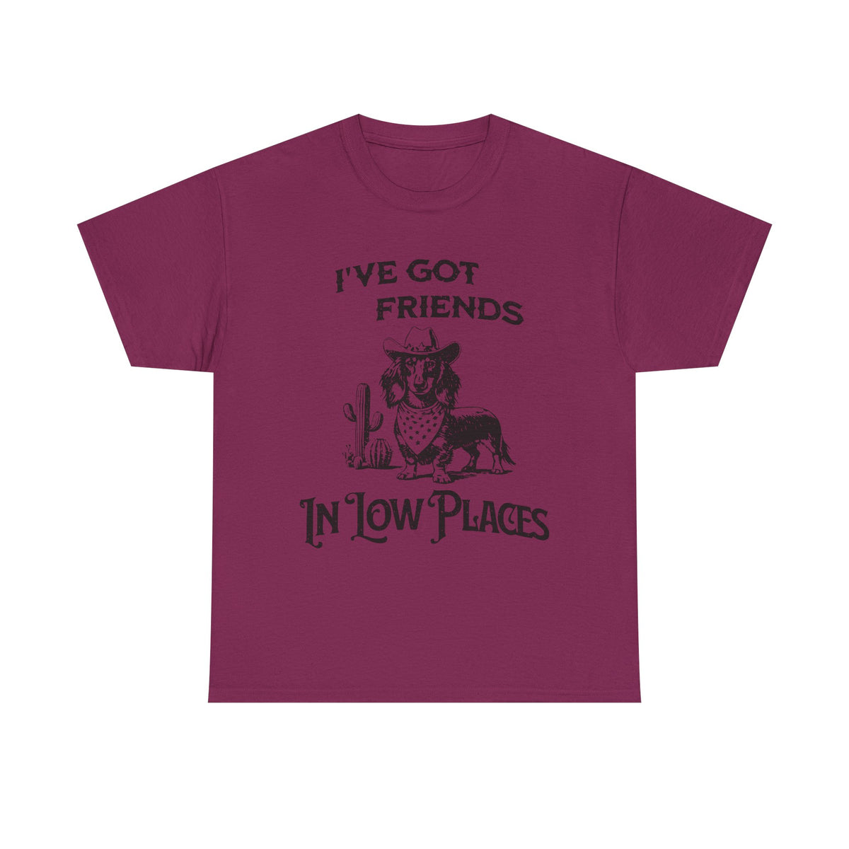 I’ve Got Friends in Low Places T-Shirt | Western Graphic Tee