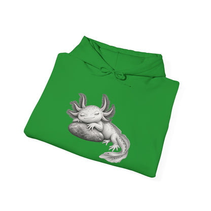 Dreaming Gill on a Stone Pullover Hoodie