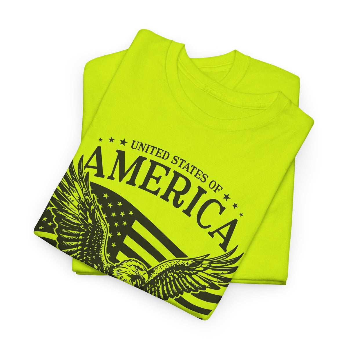 America 250th Anniversary Eagle T-Shirt | Unisex Graphic Tee