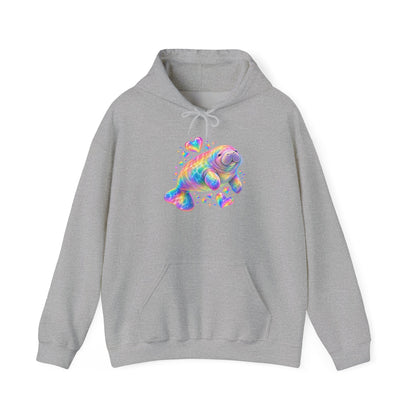Rainbow manatee hearts and stars Pullover Hoodie