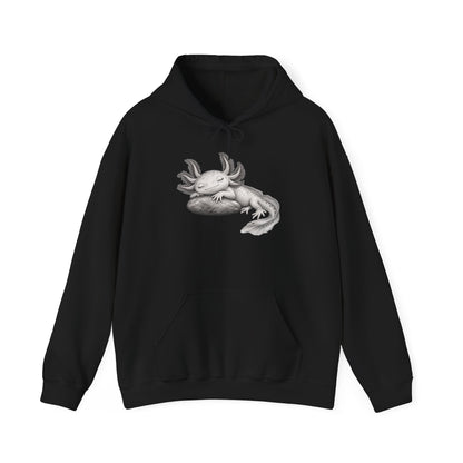 Dreaming Gill on a Stone Pullover Hoodie