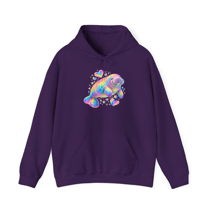 Rainbow manatee hearts and stars Pullover Hoodie