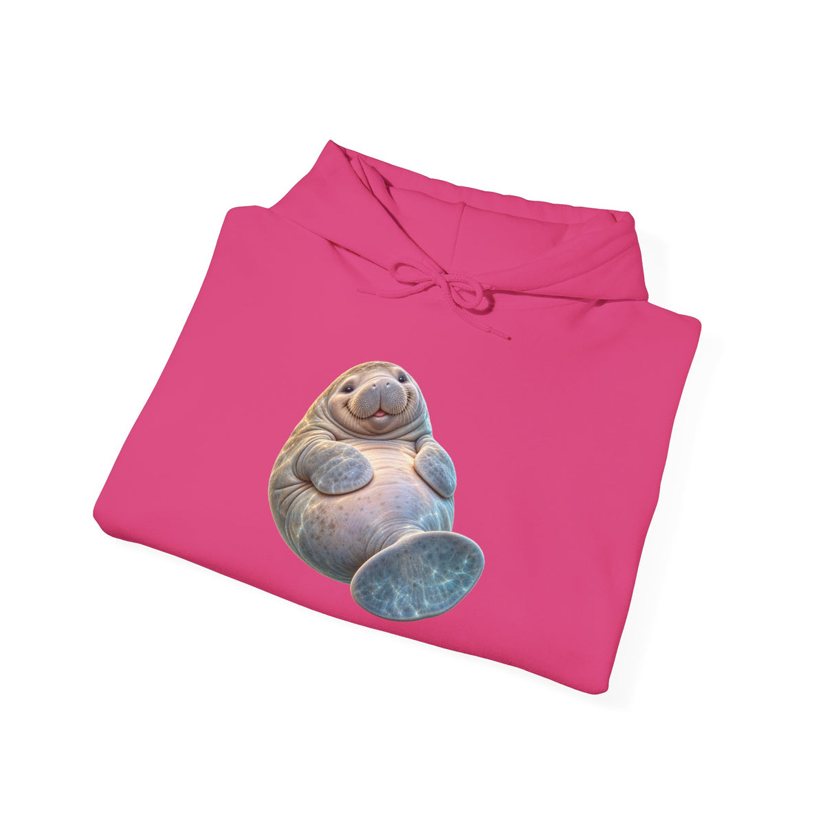 Plump Manatee Paddle Float Pullover Hoodie