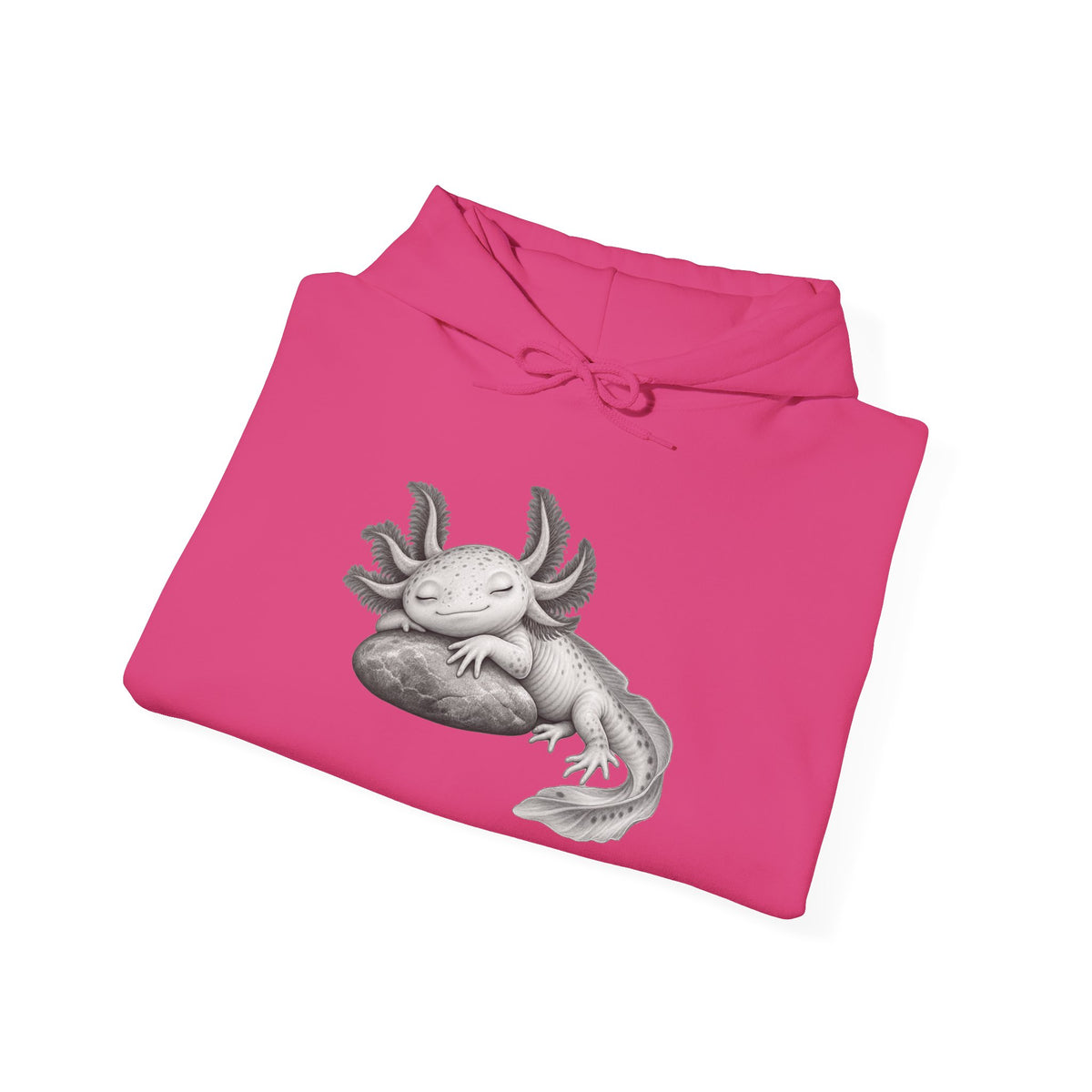 Dreaming Gill on a Stone Pullover Hoodie