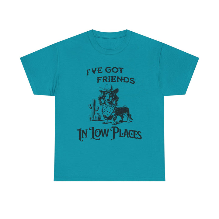 I’ve Got Friends in Low Places T-Shirt | Western Graphic Tee