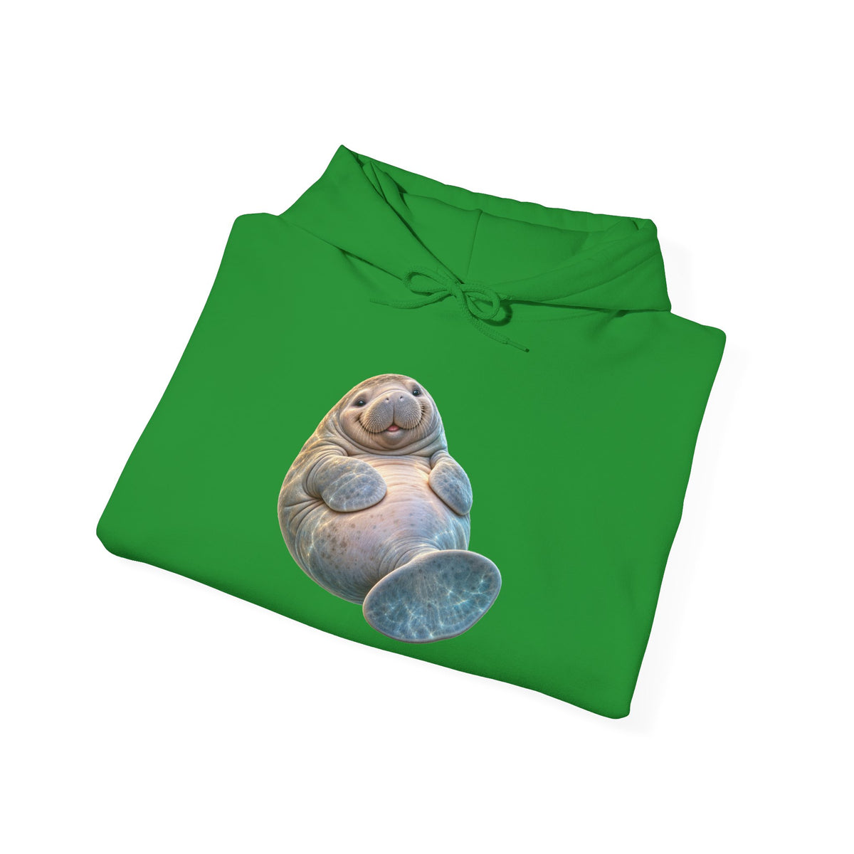 Plump Manatee Paddle Float Pullover Hoodie