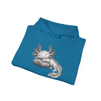 Dreaming Gill on a Stone Pullover Hoodie