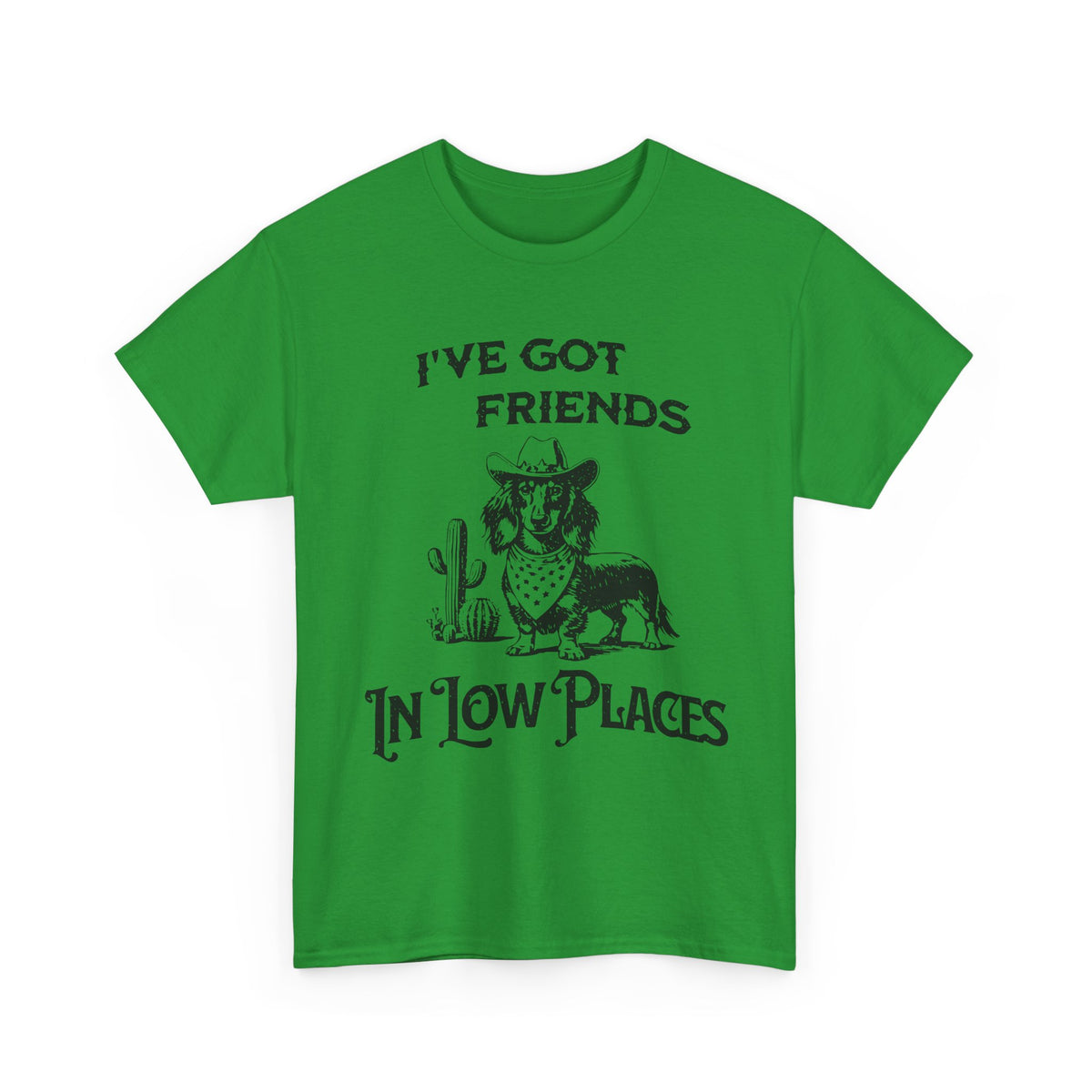 I’ve Got Friends in Low Places T-Shirt | Western Graphic Tee