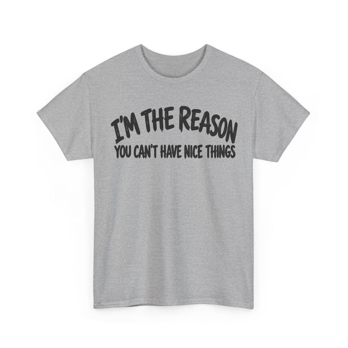 257-R1 I’m the Reason You Can’t Have Nice Things — Gildan 5000 T-Shirt