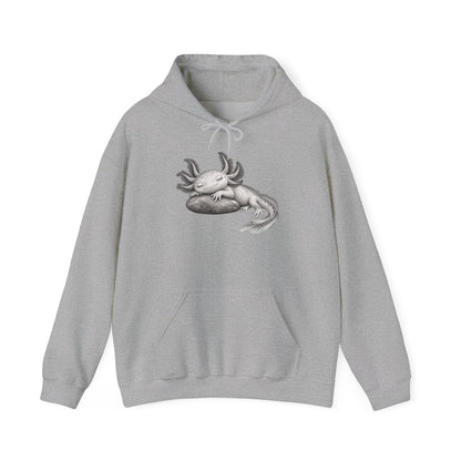 Dreaming Gill on a Stone Pullover Hoodie