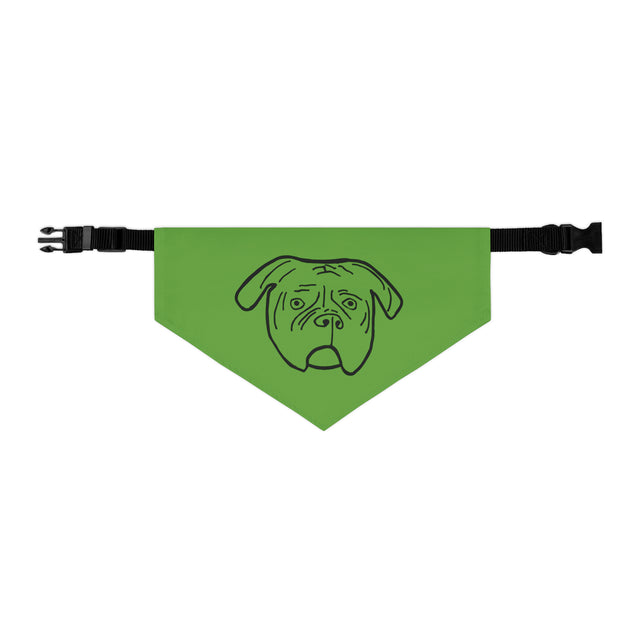 Walter Pet Bandana Collar - Green