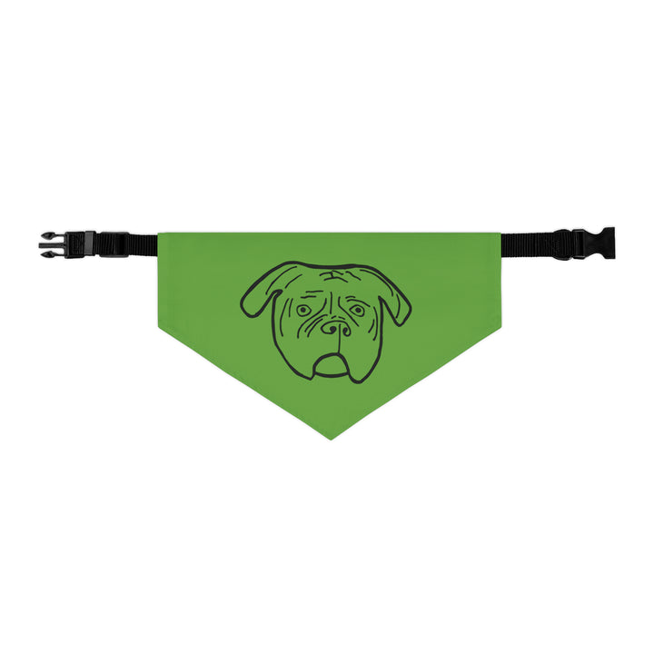 Walter Pet Bandana Collar - Green