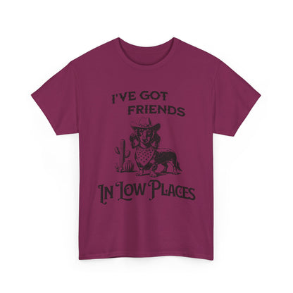 I’ve Got Friends in Low Places T-Shirt | Western Graphic Tee
