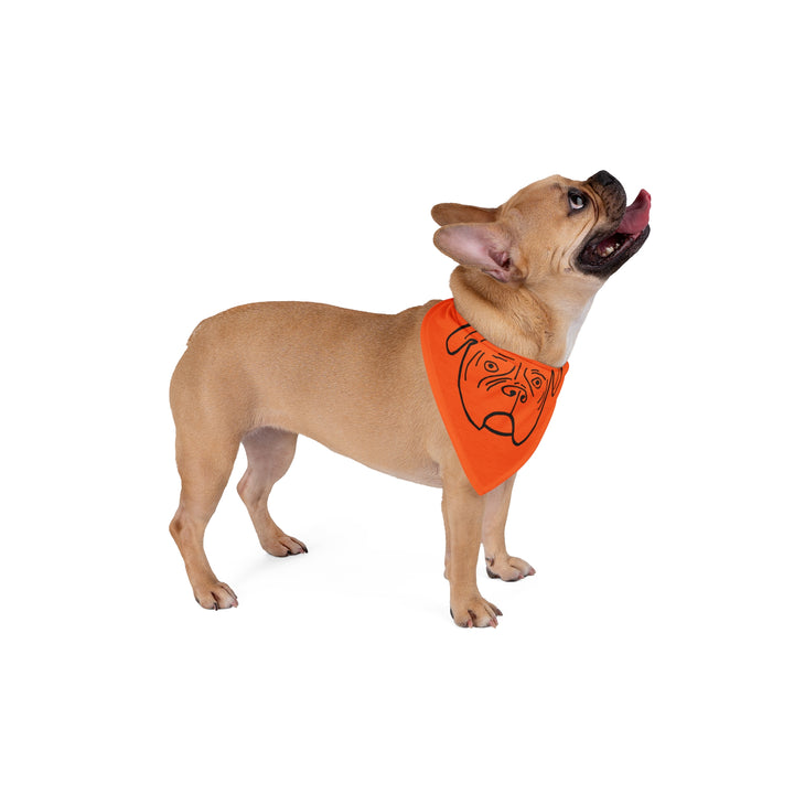 Walter Pet Bandana - Orange